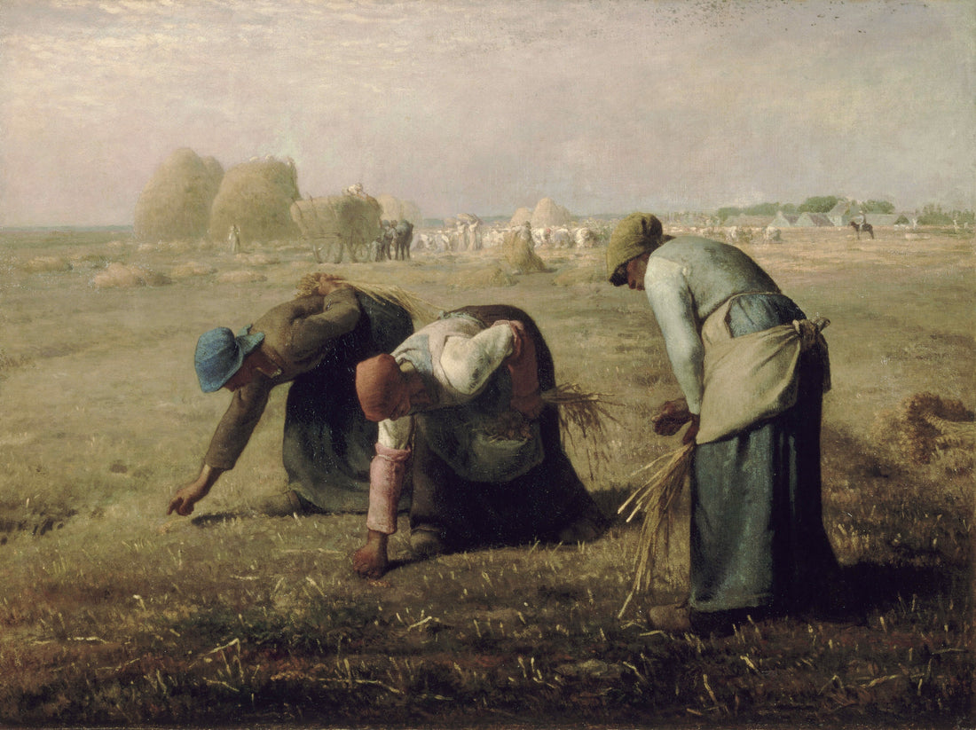 Rambouillet vs. Merino Wool