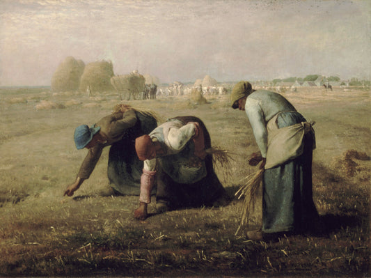 Rambouillet vs. Merino Wool